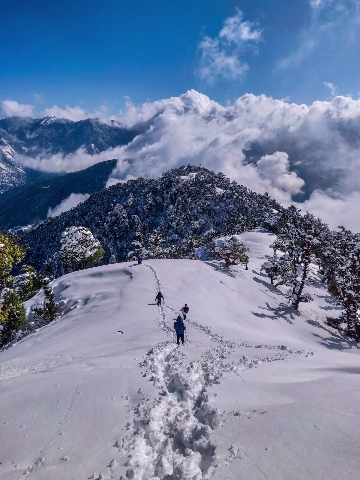 Scenic view of the Delhi to Mussoorie mountain highway journey